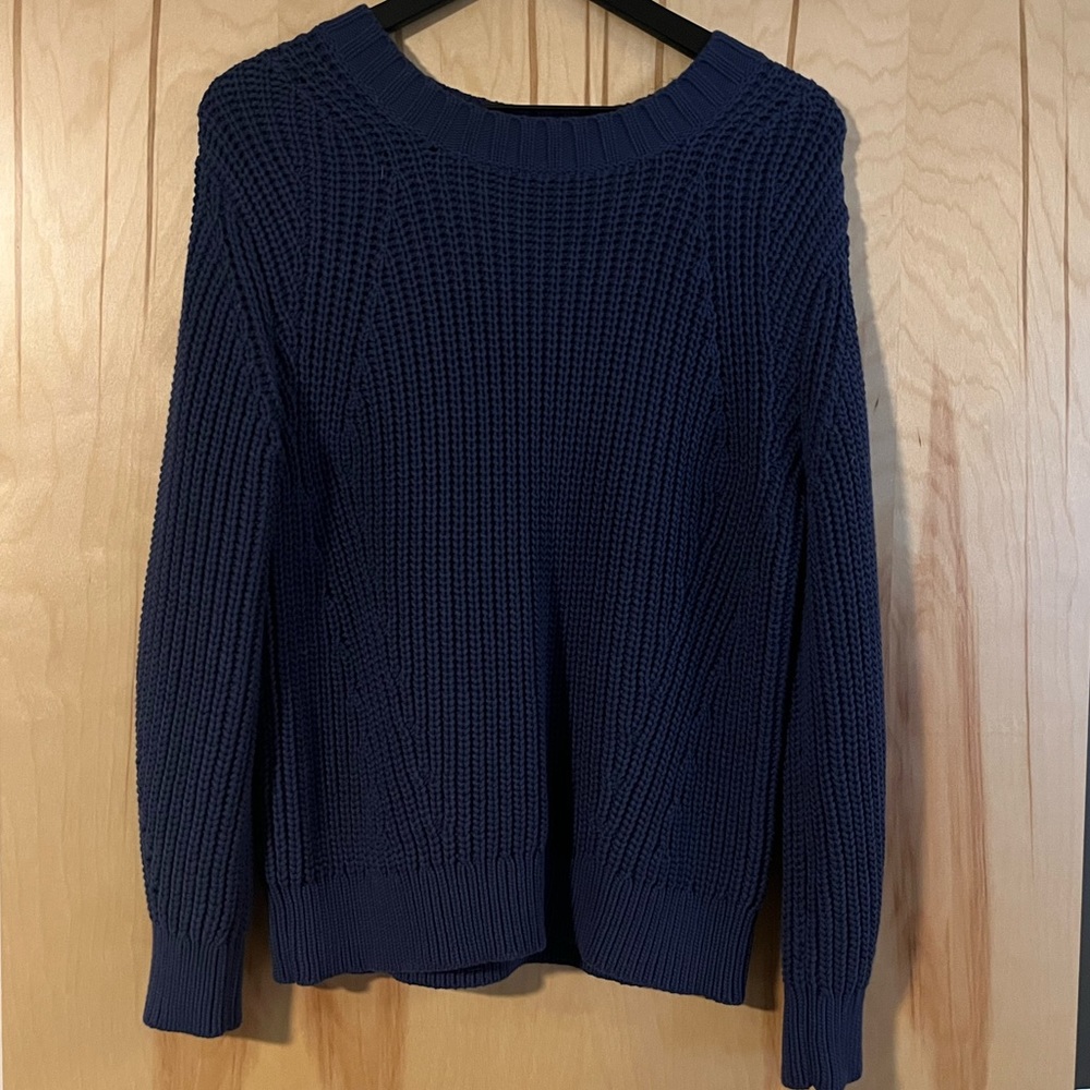 Blue Everlane Sweater